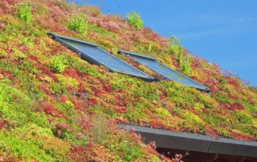 Helmingham living roof systems